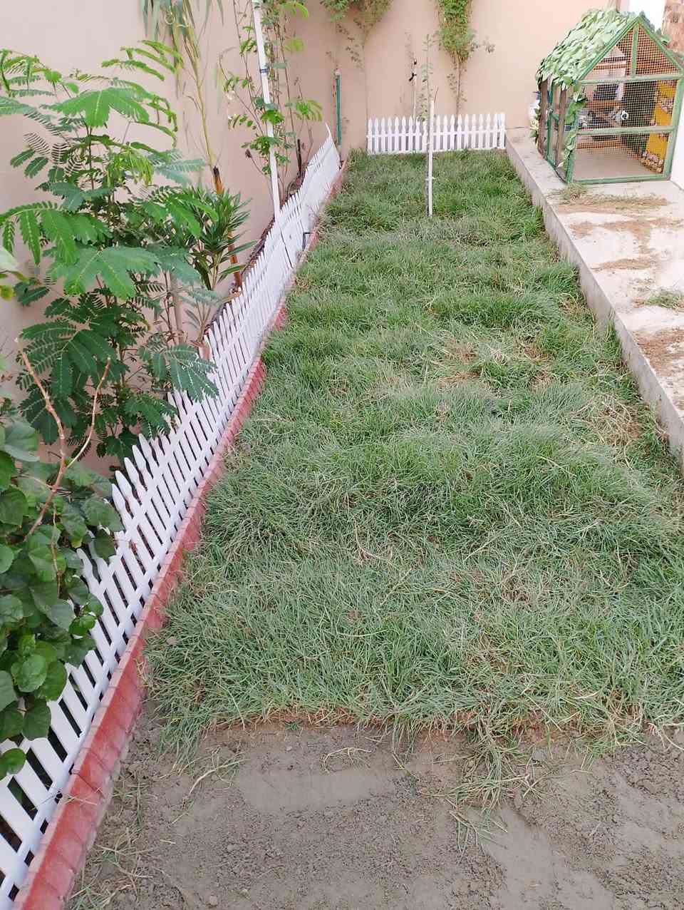 السلام عليكم (اخوان الي يحتاج فلاح من البصره موجود خوش ولد وفقير يشتغل تلقيح نخل تكريب ترتيب حدائق قص الاشجار حرث الحدائق والبساتين زراعه ثيل كلشي يشتغل للتواصل هاذ رقمه‏ ‪***********‬‏ @إشارة
