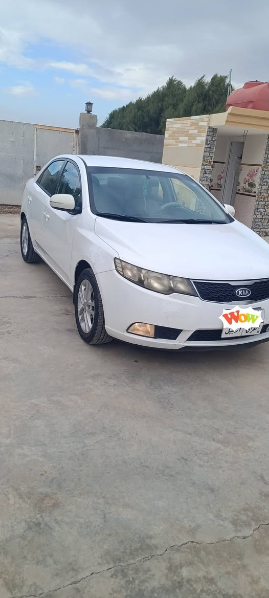 سيراتو 2011 خليجي رقم اربيل تحويل او وكاله حاضر سياره جاهزه للاخير تخم تاير تبريد جديد دينمو جديده باتري جديد محرك مكفول لا تنقيص ولا بخار  كير مكفول سته كير السياره كامله جاهزه ترايك وين ماتريد بيها 3 مكانات صبغ بدون دواخل وصغار مكاني واسط الزبيديه السعر 92 وبيها مجال  للاستفسار الاتصال
***********
***********
