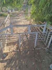 محجر كيه حمل للبيع هذا رقمي 07728569113