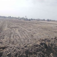 البوجراد • ١٧٠٠م • سند ٢٥