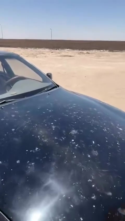 ‏للبيع35


**إذا كنت صاحب هذا الإعلان وتريد حذفه لأي سبب، رجاءا أرسل رسالة إلى الدعم الفني**
