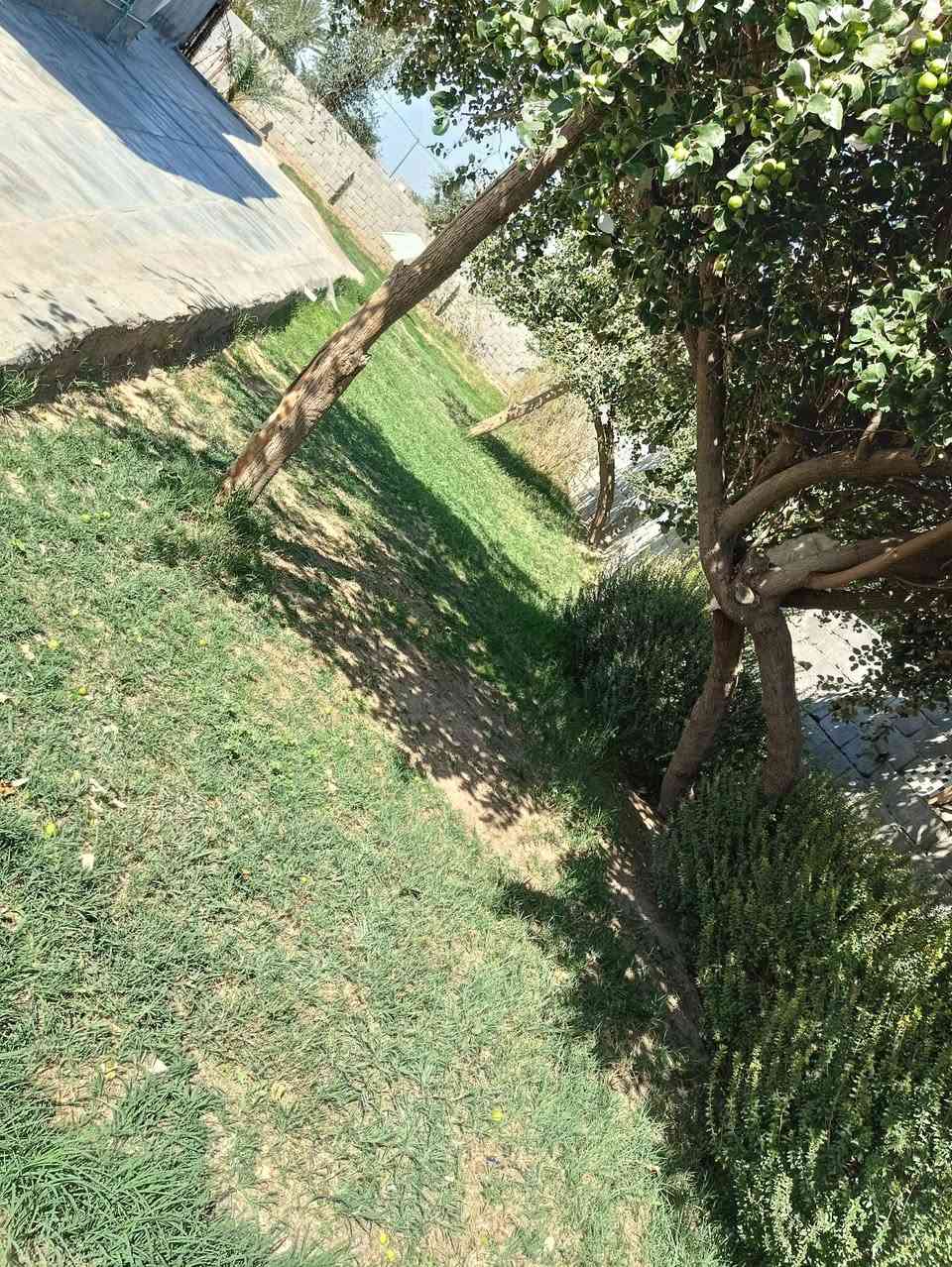 بيت للبيع مساحة البناء 300 مع حديقة جانبية للبيت
مشمول بالتثبيت بالبلدية يتكون البيت من غرفتين 5×4
و مطبخ 4×4 و صاله 4×4 و هول 7×4 و مخزن عدد 2 داخلي و خارجي و صحيات داخلية و خارجية 
المكان قضاء الحي ناحية البشائر قرب إعدادية الحي المهنية 
الاستفسار أكثر الاتصال ع الرقم ***********
