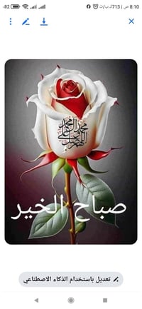 شارع الفنادق • ٣٥٠م • ٤ محلات