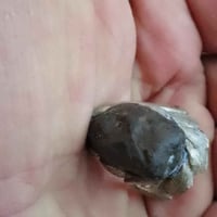 بغداد • حجر هبهاب • محبس