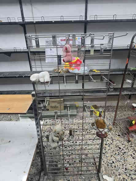 رفوف ميكانو ثقيل للبيع
الكرادة شارع الصناعة قرب الجامعة التكنولوجية
تقريبا ٧٠ رف
***********
السعر ١٠ للرف
