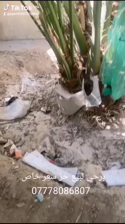 برحي ابو الخصيب حر للبيع السعر 150 ***********
