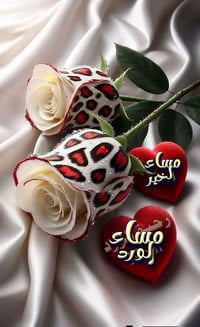 بيت للايجار في بدايه حي الحريه الاولى شارع حيدر لوخه يتكون البيت من صا...