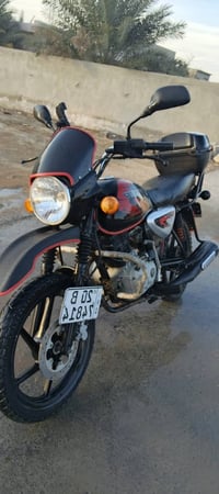 اعيد نشر بسبب الوعود الكاذبه بيع مستعجل بوكسر مرقم نكليزي لوحة وسنوية ...