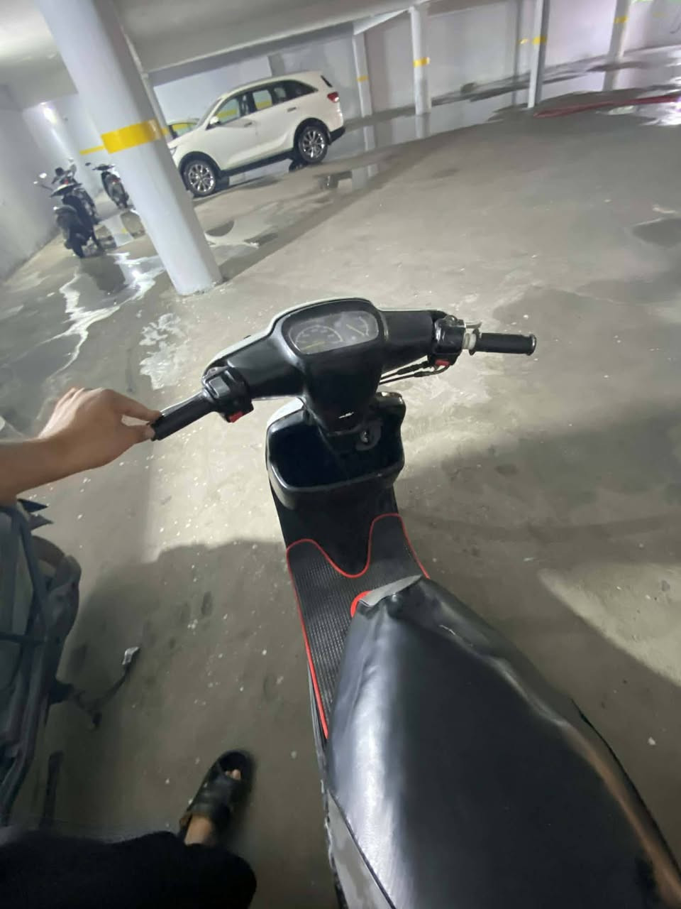 سلام عليكم متاح مطور بوتين تحريكه ومعدل  شرط سعر 275بي ماجل ***********وتساب بيك خير ودلال
