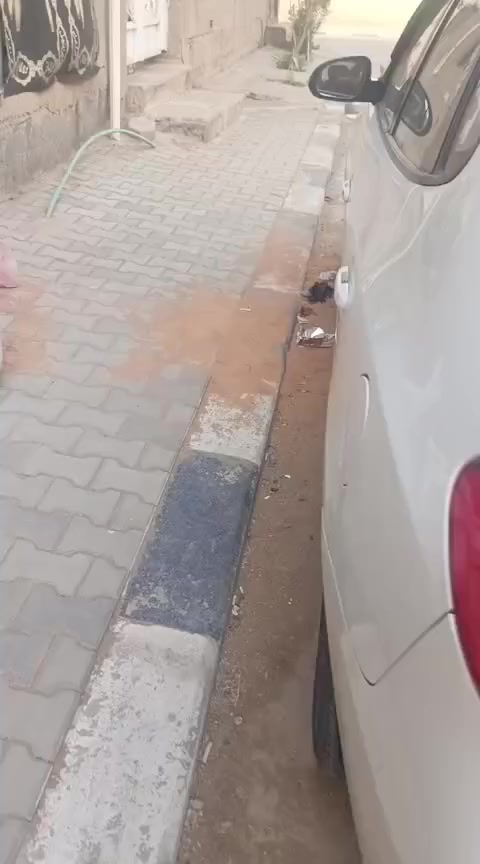 ‏سلام عليكم  بيع النترا مديل 2010  اربيل اكليزي بيه صبغ بنيد وجاملغ بدون فتح ولا دواخل سياره نضيفه مشروطه مكينه وكير وحداديه تخم تاير تبريد شغال مكان سياره نجف سعر 112 وبيه مجال قليل للستفسار ***********
