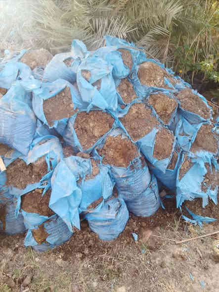 سلام عليكم
موجود كافت لخدمات من تنضيف حدايق وحش ورباث الحديقه وزراعه جميع الشجار مثل لسدر ول نخيل والورود 
رقم الهاتف ***********
