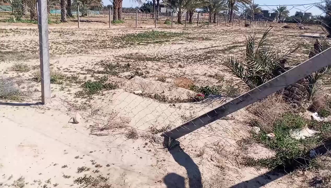 سلام عليكم قطعه ارض للبيع 
المساحه 500 متر واجهة 25 ونزال 20
سند طابو زراعي 25 تحويل مباشر 
الموقع قرب شريفه بنت الحسن 
السعر 65 . اي استفسار مراسله الصفحه او الاتصال ***********
