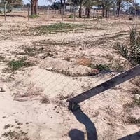 ٥٠٠م • طابو زراعي • قرب شريفه بنت الحسن