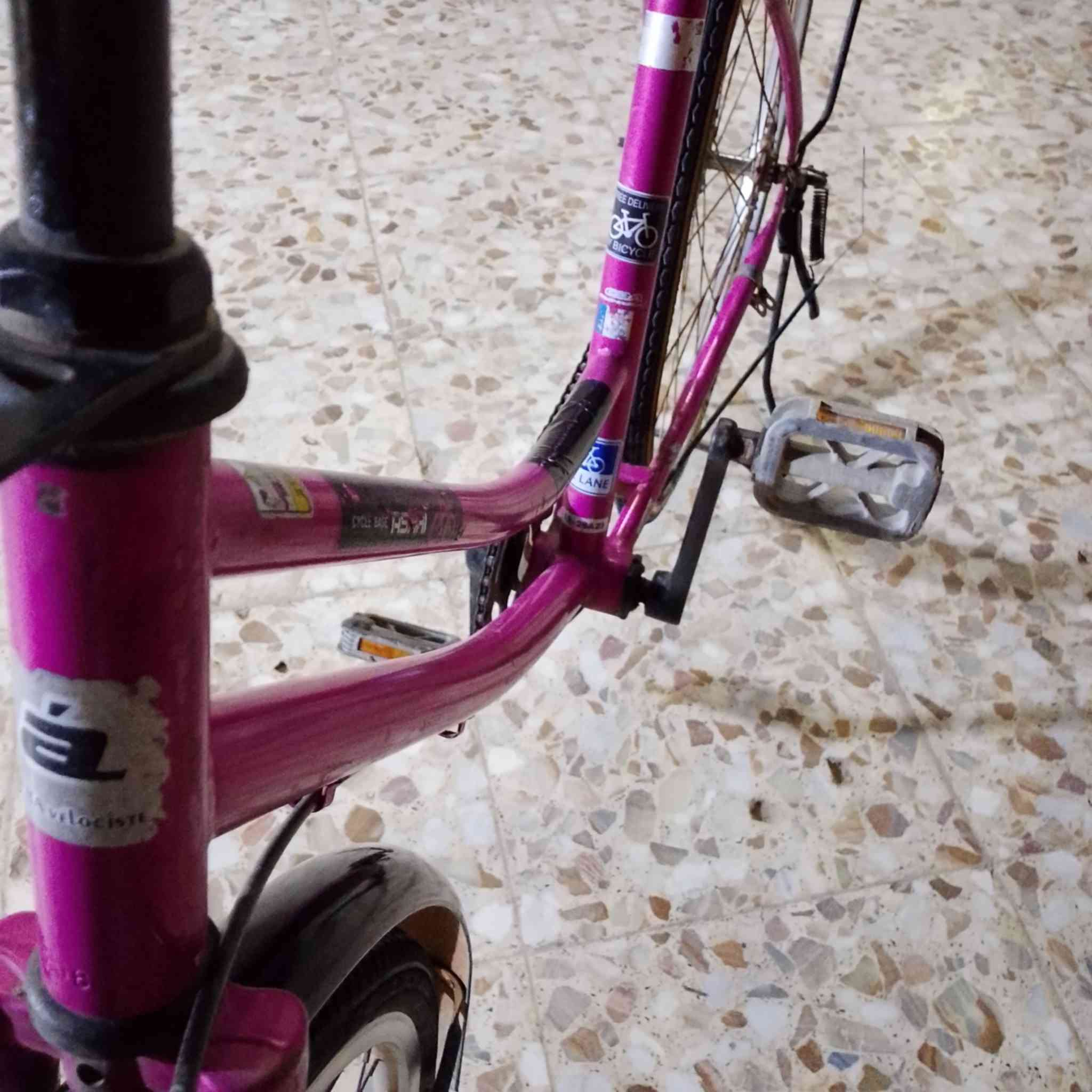 السلام عليكم باسكل للبيع فقط مكان شطره حي العسكري الباسكل كامل مكمل السعر 50 وبي مجال مو شراي لا تراسل


**إذا كنت صاحب هذا الإعلان وتريد حذفه لأي سبب، رجاءا أرسل رسالة إلى الدعم الفني**