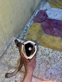 صالنصة توبو • اصليه • ديوانية حي لعسكري