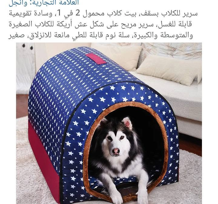 القطعه 8


**إذا كنت صاحب هذا الإعلان وتريد حذفه لأي سبب، رجاءا أرسل رسالة إلى الدعم الفني**
