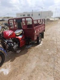 ستوته • موديل ٢٠ • اوراق اصولي