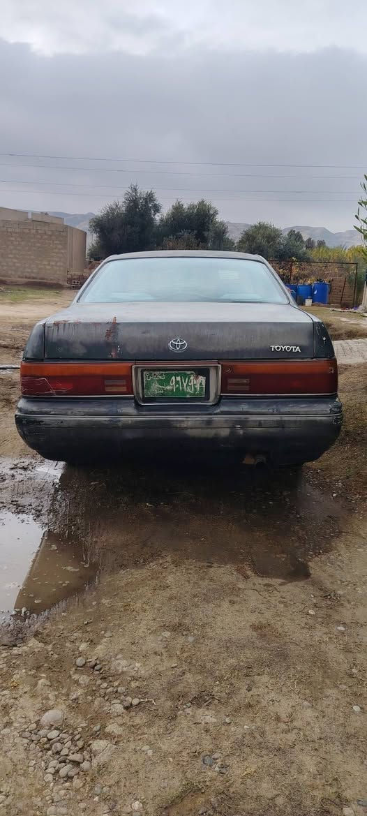 السلام عليكم بطه للبيع او مراوس  تفاصيل اكثر اتصل على رقم *********** شرط التحويل
