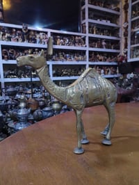 جمل ثقيل • البصرة