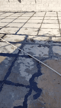 شغل اليوم
من الله التوفيق 

السلام عليكم 

اي واحد يحتاج شغل 

زفت اصطوح وماستك  

و غسل اصطوح 

كرسته و عمل

بأداره يعقوب مروان 

الاتصال ***********
