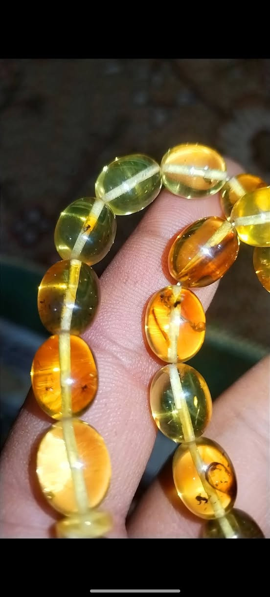 كهرب حشري بولندي صافي كل خرزه حشره
كصه بيض الحمام قياس الحبه ١٣x10
الوزن ٣٨ غرام
سعر الغرام 3.5$


**إذا كنت صاحب هذا الإعلان وتريد حذفه لأي سبب، رجاءا أرسل رسالة إلى الدعم الفني**