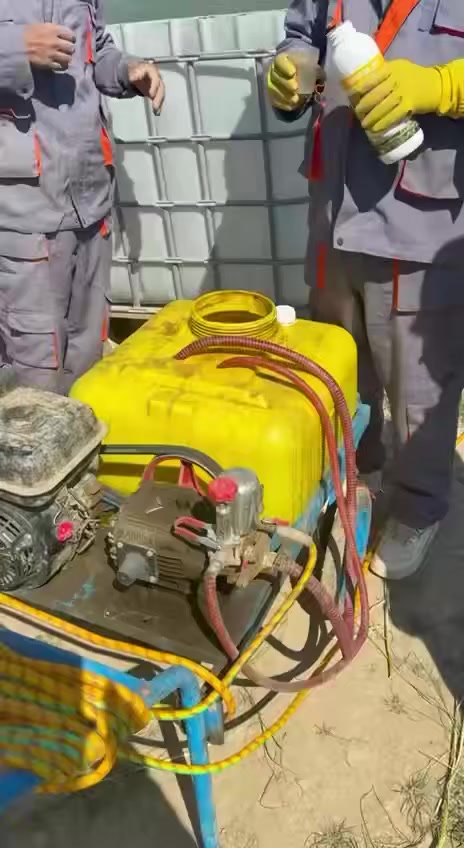 رش مبيد الونفوس في تجربه على الخيار في مركز العلمي للتقانات الزراعيه الحديثة 
 #زراعة  #خيار#مبيد


**إذا كنت صاحب هذا الإعلان وتريد حذفه لأي سبب، رجاءا أرسل رسالة إلى الدعم الفني**