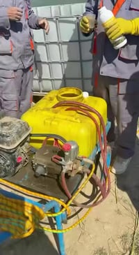 رش الونفوس • خيار • مركز التقانات الزراعية