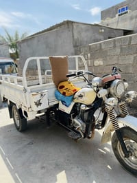 ستوته • ٢٠١٢ • اوراق اصولي