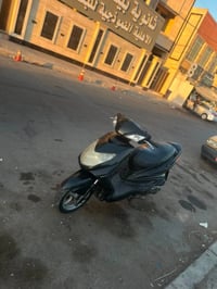 سكنس فحل • كفاله عامه • كلش جديده