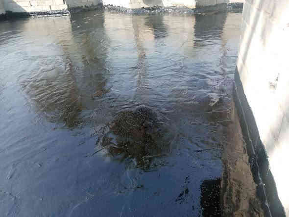 تطبيك شتايكر واعادة ماستك وترميم السطوح القديمه واعادة ماستك
✅️   إعادة ماستك مد و كوي 
✅️ قلع الماستك القديم واضافه جديد 
✅️ قلع شتايكر وتطبيك جديد
ايزوكام. 
روفت كوت 
كرسته وعمل او  بس عمل ومواد درجه اولى وبأنسب الاسعار
للاستسفار الاتص
شغل درجه اولئ وانسب الاسعار
***********
