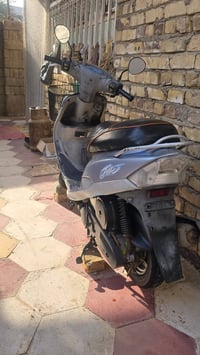 ماكس منغولي • كفاله عامه • ماسنجر