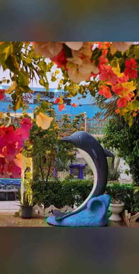 النجف كوفه • 1250م • طابو زراعي