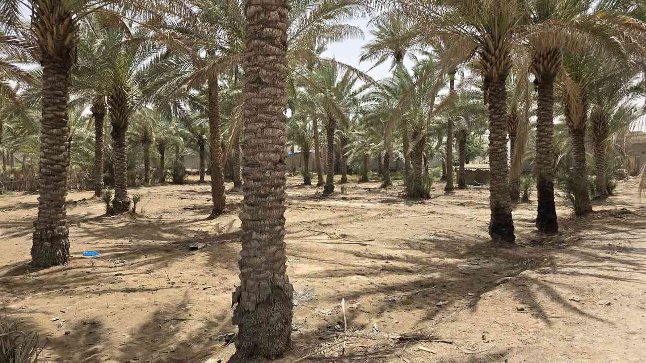 أرض زراعية للبيع 

🔴 التفاصيل 

🔹️ موقع تجاري متميز 
🔹️ على الشارع العام 
🔹️ الأرض مطلة على اكثر من شارع 
🔹️ مساحة الأرض الكلية 3.5 دونم
🔹️ طابو زراعي 
🔹️ سند 25
🔹️ متوفرة جميع الخدمات 

🔸️ موقع الأرض خلف محطة وقود ريبال . قرب جسر الامام علي 

🟥 موقع المكتب : الكوفة شارع ال عيسى 

للتواصل والاستفسار 
***********
***********
امجد ابو حسن

