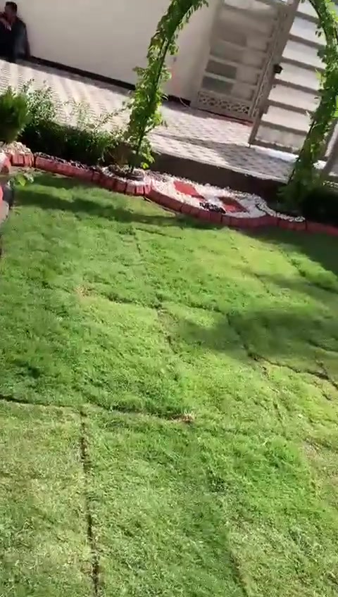 سلام عليكم ممن رخصت مدير مروب هاذه باب رزقي تمنه ينشره كادر تصميم حدائق وتنضيف دامه الحدائق وتغليم الشجار لاستفسار على رقم ***********واتساب ***********
