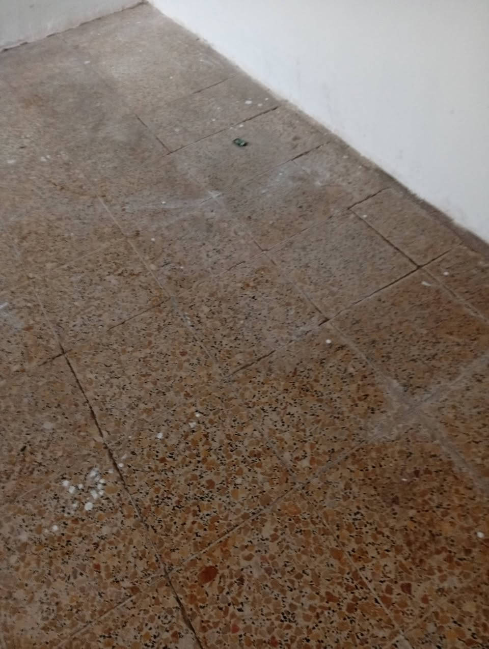 السلام عليكم جلي موقعي كل نواع ارضيه خام مرمر بورسلين موزاييك سعر مناسب صب للاستفسار ***********كركوك
