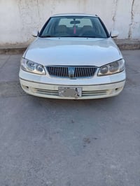 سني • ٢٠٠٨ • مكفولة صبغ