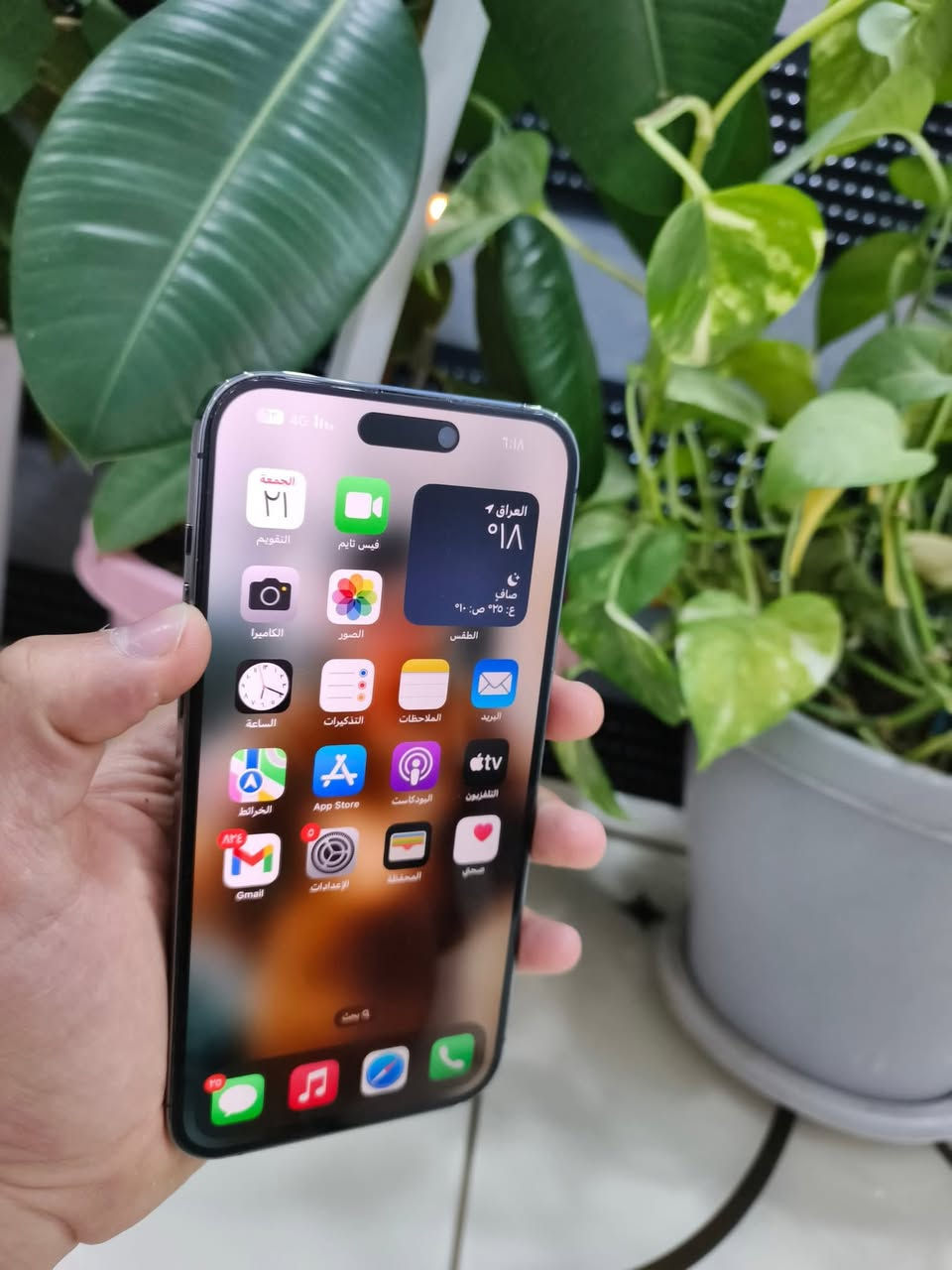 سلام عليكم ايفون 14 برو ماكس
ذاكرة/256
بطاريه /82
كارتون كامل
تك سيم 
جهاز كله بلادي شرط فقط ضهر مبدل جديد للبيع شراي خابر ***********
