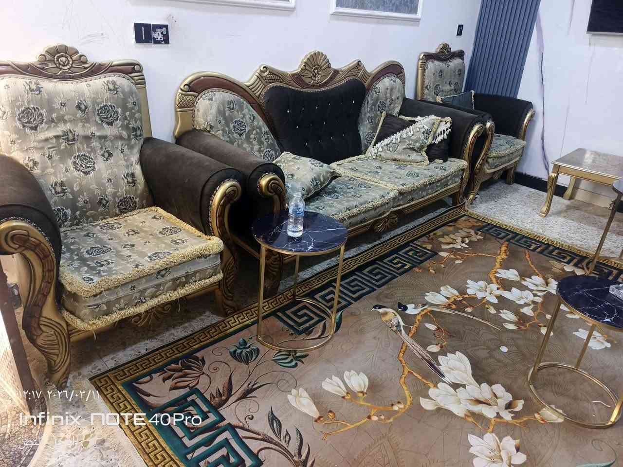 تخم للبيع 400الف بغداد الرشاد ***********
