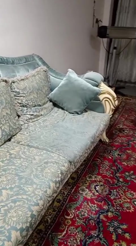 السلام عليكم 🙋 اخوان عندي هاي التخم و الكاونتر سعره 150والتخم سعره 500 و بيهن مجال لل استفسار اكثر الاتصال على رقم ***********
