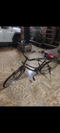 باسكل • حجم ٢٤ • نضيف