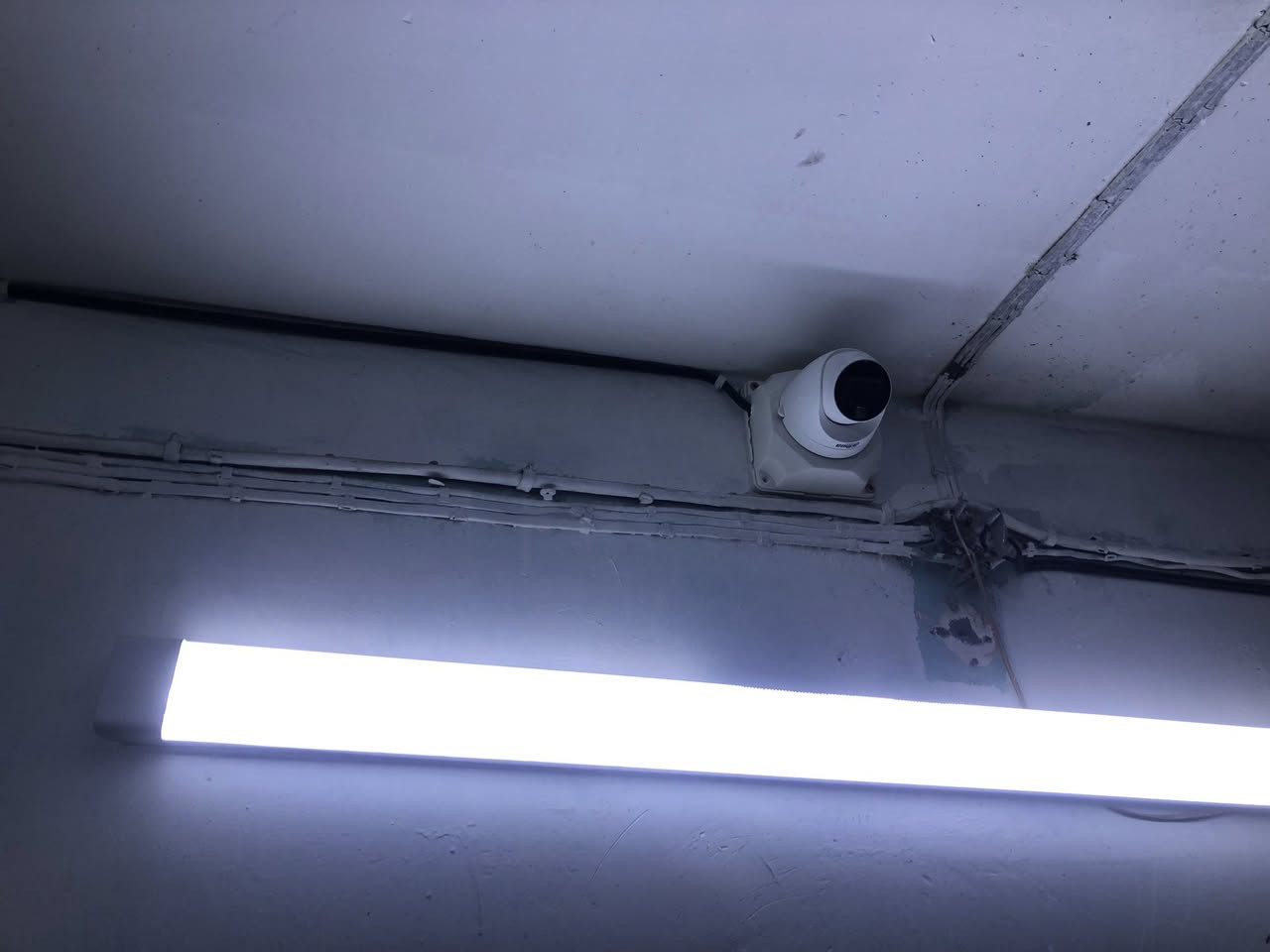 جانب من اعمالنا في الرفاعي  
مركز الرحمن للعلاج الطبيعي 
سستم كوكتيل 5 ميكا و 2 مبكا 
المهني موسى الكامرات***********
فني مختص في جميع انواع الكاميرات تنصيب وصيانة جميع اعطال  الكاميرات المراقبة الانالوك والـ ip
حافظ على املاكك  مع امان متطور ✅
ذي قار _الناصرية _قضاء الرفاعي 
العمل في جميع انحاء ذي قار

 #دهوا #نضام #امان #دهوا #
