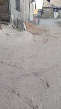 الحر الصغير • ١٠٠م • طابو