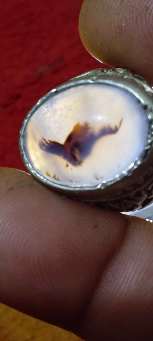 محبس فضه خراسانيه سعر٢٥ البصرة, العراق


**إذا كنت صاحب هذا الإعلان وتريد حذفه لأي سبب، رجاءا أرسل رسالة إلى الدعم الفني**