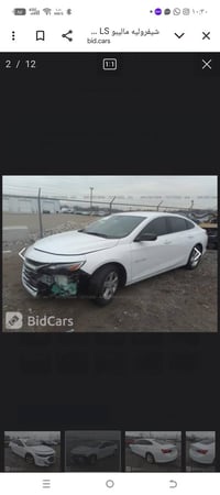 شيفروليه • ماليبو LS • ٢٠١٩