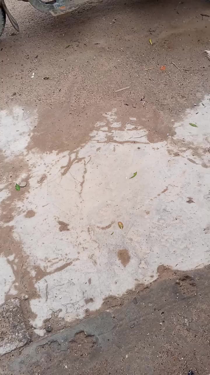 سلام عليكم ستوته للبيع رقم ابيض وسنويه الستوته شادلهه محرك جديد اكسن جديد المكان البصر ابوالخصيب ***********السعرمليون300وبيهه مجاب
