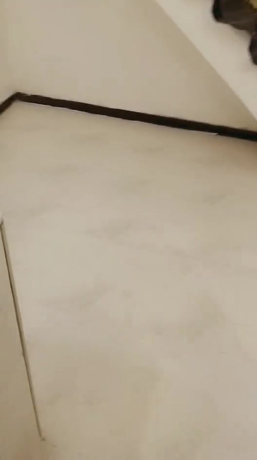 بيت شارع ابو دراج بيت جديد طابق واحد يم سيد رسول قرب الطابوا اب صف الركن مساحه 54 واقع حال 58 بيت عالي كهرباء ثلاث خطوط مي ميكطع ابد مجاري مقرنص جار ماكو يمك طابوك مسلح عالي بوب شبابيج كله درجه اولى وللسقف  سيراميك وبورسلين 
رقم *********** اتصل واتساب فقط سعر 45 وبي مجال قليل
