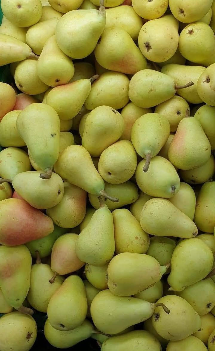 🌹عروض عروض عروض
5 شتلات مطعمه درجه اولى
واصل باب لبيت 25 الف فقط 
 1-تفاحي شرابي مطعم 
2-تكي سلبوحي احمر مطعم
3-تكي شامي ابيض مطعم
4-تكي سلبوحي ابيض مطعم
5-عرموط صيفي مطعم
6 - تكي عراقي درجه اولى
__________________________________________________
كذلك متوفر حمضيات +ورود +اشجار 
النجف الاشرف ناحية الحريه ***********
