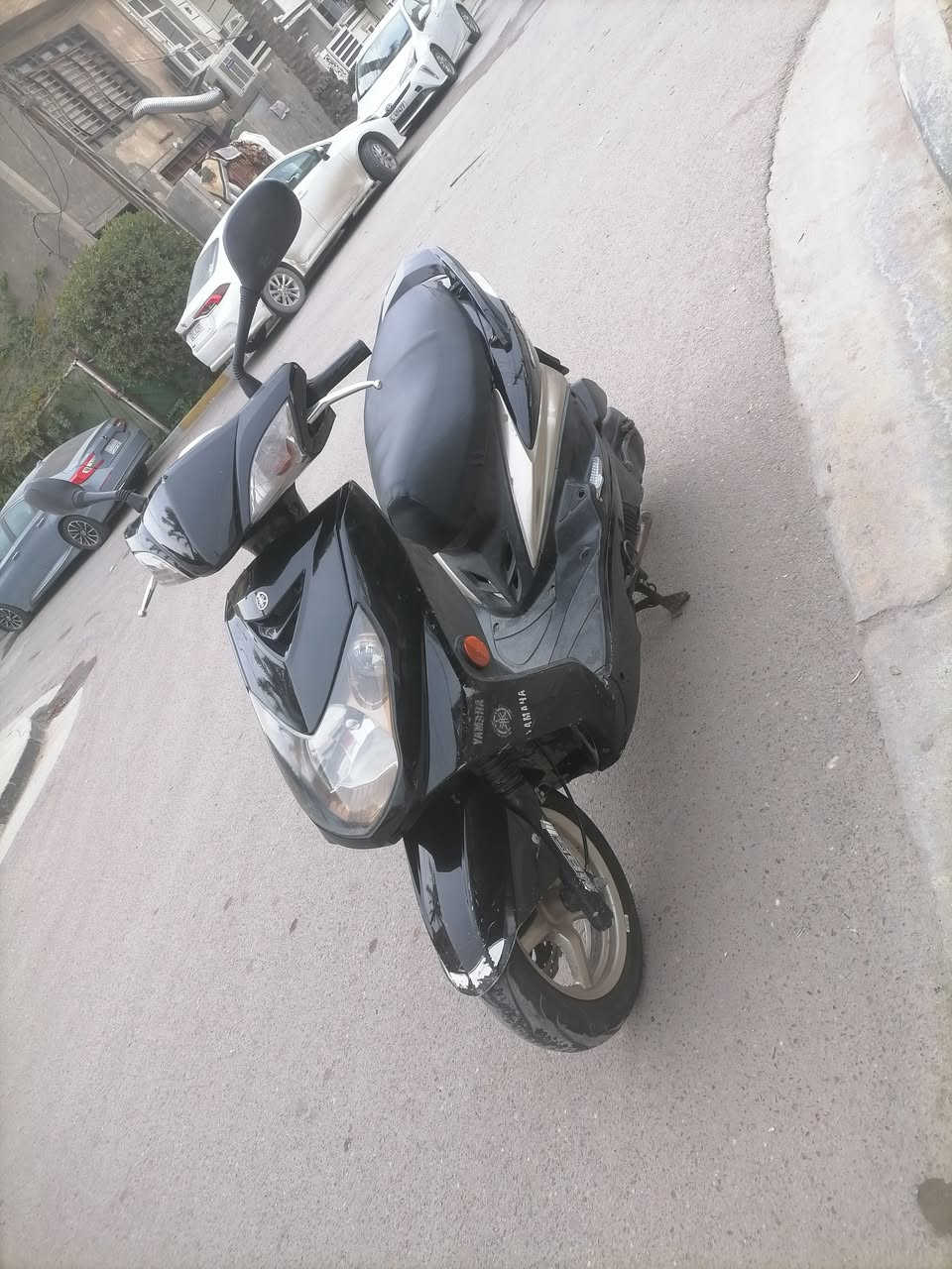 دراجة سكنس فحل حديث نوزل خطين ام الطلاعات كلهة شغالة سلف هندر كهربايات الدراجة اي نقص مابيهة الدراجة مكفولة كفالة عامة مال رمبة مامفتوحة ابد جيب وياك فيتر وفحص مكينة خرسة ماتسمع صوتهة السعر 800 المكان بغداد حي العامل الرقم ***********
