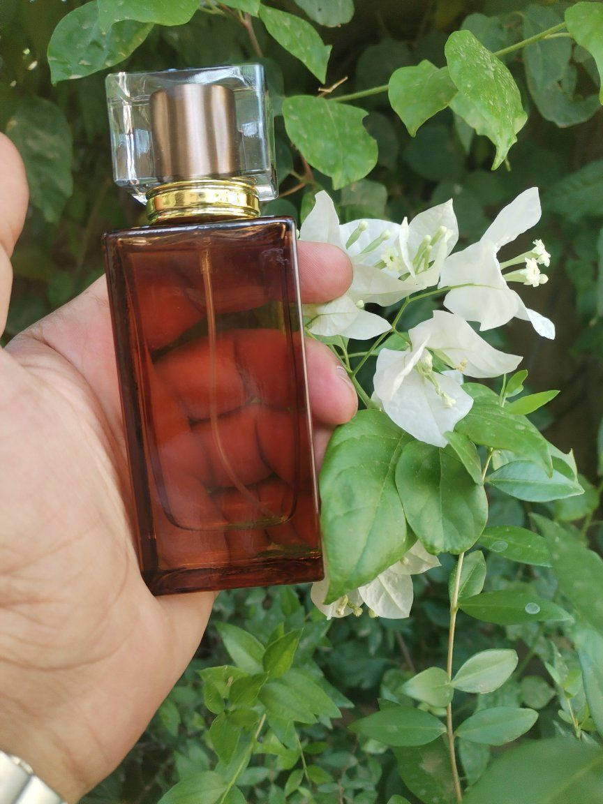 متوفر عطور رجاليه نسائية خلط مخلوطه حسب آلية معتبره عالميا


**إذا كنت صاحب هذا الإعلان وتريد حذفه لأي سبب، رجاءا أرسل رسالة إلى الدعم الفني**
