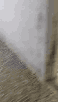 نصف قطعه للإيجار ترميم جديد قطاع 46تانكي ماطور كيزر جديدات07716555726